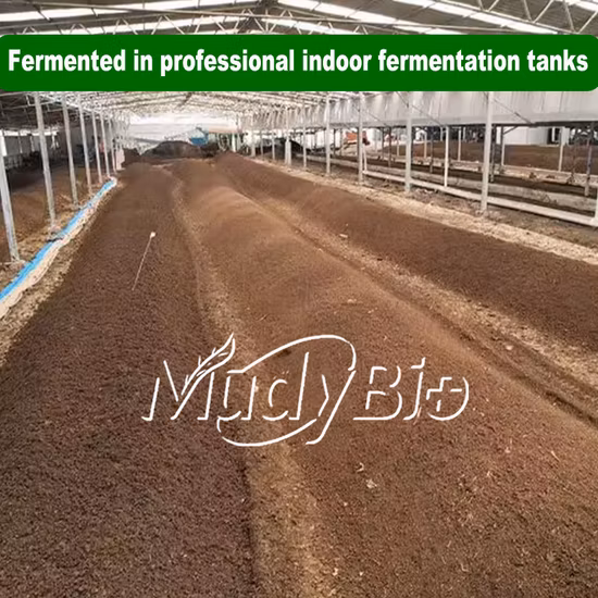 Máquina de granulador de fertilizante de rolo para fábrica de fertilizantes NPK/Orgânico/Personalizado/Solução única/Estrume animal Aves/Frango/Porco/Vaca/Prensa de pellets Preço